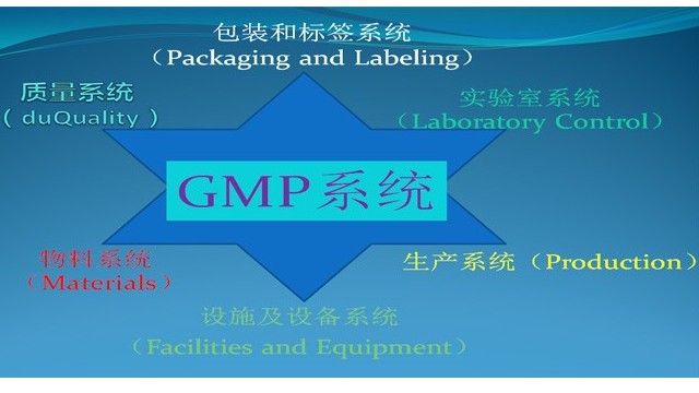 GMP六大系統的作用
