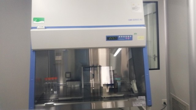 生物安全柜的柜體結構和氣流模式檢測