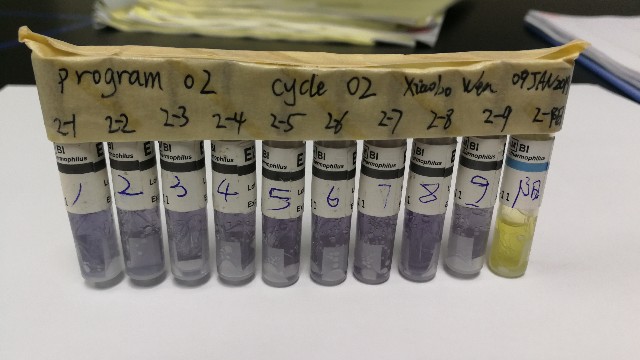 滅菌器驗(yàn)證中生物指示劑選擇要求